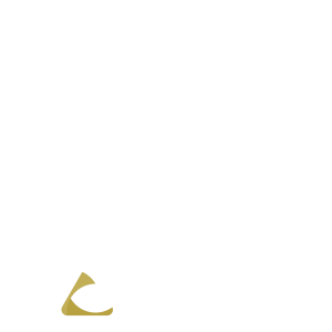 Logo 35 anos base_Prancheta 1